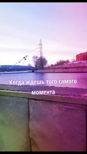 #рыбалка ловись рыба большая и маленькая смотреть онлайн