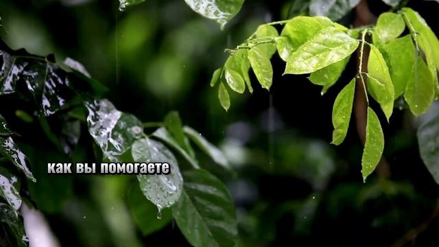 8 признаков того, что вы хорошо выглядите в возрасте —