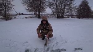 Рыбалка на жерлицы. Ловля щуки в маленькой речке. Зимняя рыбалка 2018.