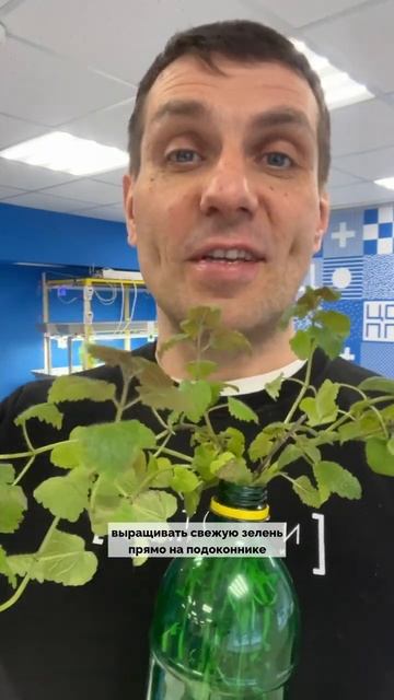 Гидропоника выращивание в бутылке  | СОБИРАЕМ УРОЖАЙ
