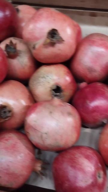 Гранат.Цена.Эпицентр#гранат#цена#эпицентр смотреть онлайн