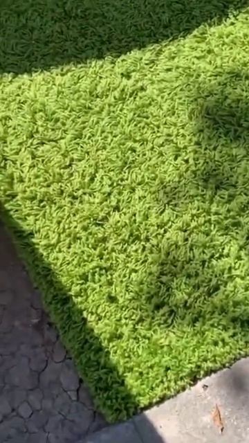 У СОСЕДА ВСЕГДА КОВЕР ЗЕЛЕНЕЙ #shorts смотреть онлайн