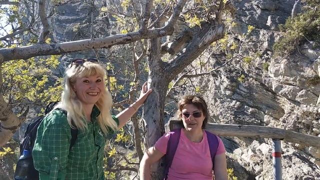 Весёлое Новый Свет смотреть онлайн