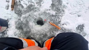 ЛОВЛЯ МИРНОЙ РЫБЫ. ПОДПУСК В ДЕЙСТВИИ. НАЛОВИЛ КРУПНОЙ