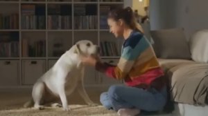 Собака сделала то, чего ее муж не делал уже 15 лет. Девуш