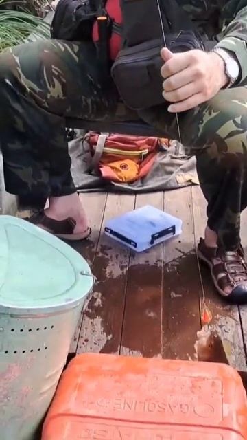 Вот окунь так окунь,такого надо брать #fishing #природа #пу смотреть онлайн