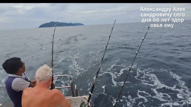 Рыбалка морская марлин