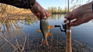 Мормишинг з Алі-Експресс: Hunthouse PURELIST 0.2 - 0.8 гр