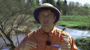 Чёртова дюжина с братьями Щербаковыми Съедобная рези?