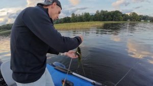 Рыбалка на Озере Селигер!!! Щука и жадный окунь