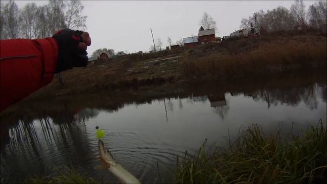 Русская Фишка "Сушка" полевые испытания. смотреть онлайн