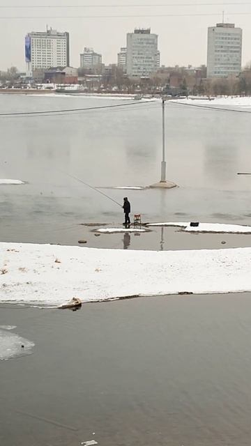 Рыбалка рядом 🐬🦈🐬 #красноярск #набережная смотреть онлайн