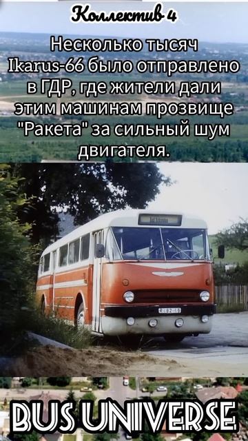 #автобус Ikarus 66 #транспорт #bus #ikarus #икарус #ретро #ссср смотреть онлайн