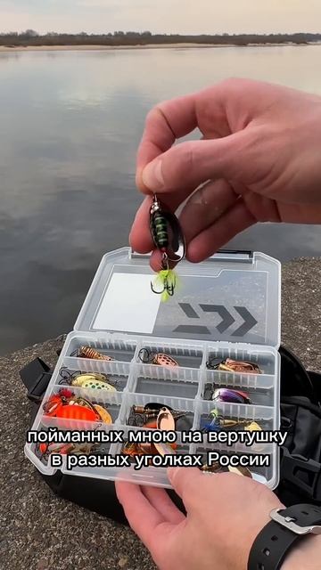А Вы ловите на вертушки? #поймалотпусти #рыбалка смотреть онлайн