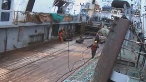 Рыболовное судно «Адмирал Шабалин», ловля рыбы трало?