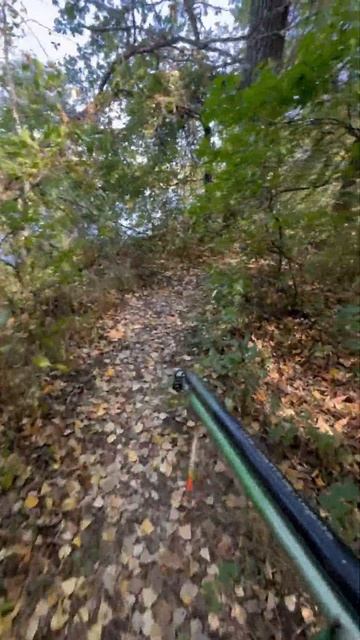 Змеи 🐍 тут могут быть #рыбалка #озеро #карась #тамбовс? смотреть онлайн