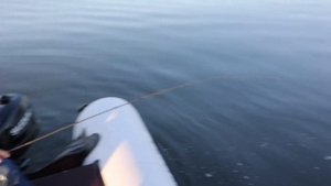 Однозначно ТОП!!! Лучший UL для микроджига. Duo Tetra Works React T