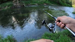 ЖОР ГОЛАВЛЯ на Малой реке ВЕСНОЙ. Ловля ГОЛАВЛЯ на ВОБ?