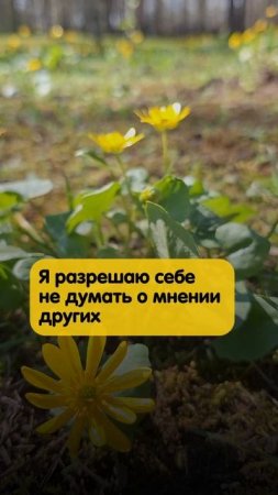 Фразы любви, которые ты заслуживаешь