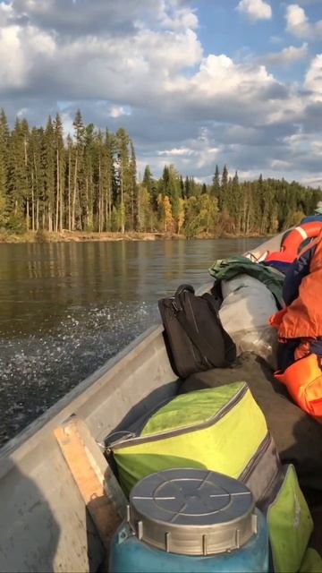 89. 2015 год Осень. #горнаярека #рыбалка #mountains #хариус #travel смотреть онлайн