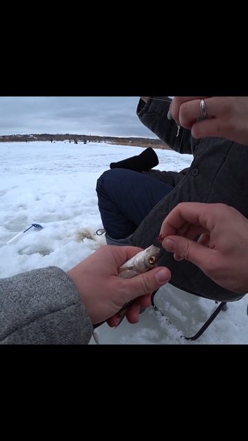 💃🔥 Моя любимая жена поймала настоящего трофея, и рад