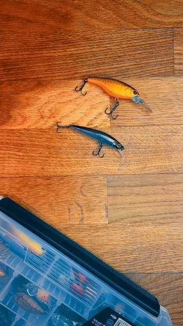 Воблер - Дэнс 💃🕺🪩 #shorts #рыбалка #воблер #спиннинг #fishi смотреть онлайн