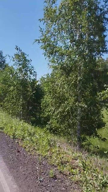 13 июня 2024 г. смотреть онлайн