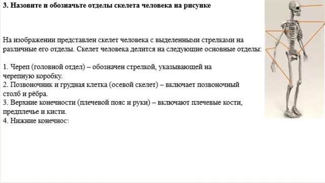 6 класс Естествознание 3 четверть СОР 2 Энергия и дивже?