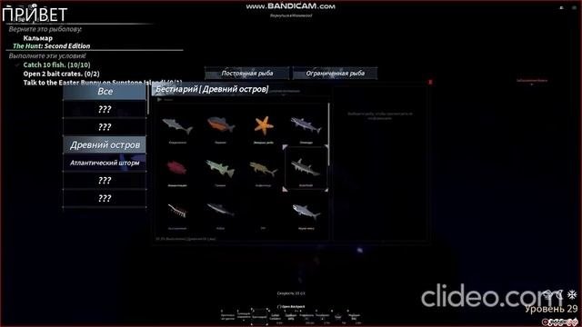 ПОКАЖУ В ИГРЕ ФИШ ХОРОШИЕ УДОЧКИ ДЛЯ НОВИЧКОВ