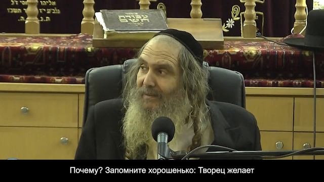 Рав Шалом Аруш - Как вернуть свет? смотреть онлайн