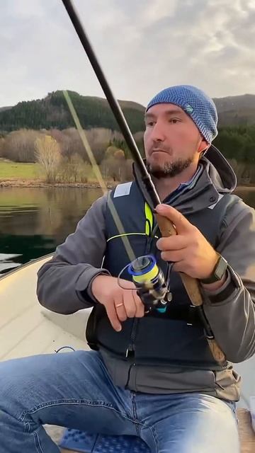 Моя любимая и уловистая ПРИМАНКА! #shorts смотреть онлайн