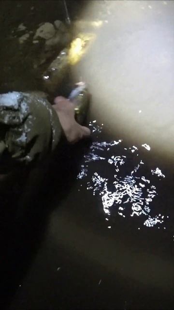 Китайский воблер ловит судака на рыбалке ночью смотреть онлайн