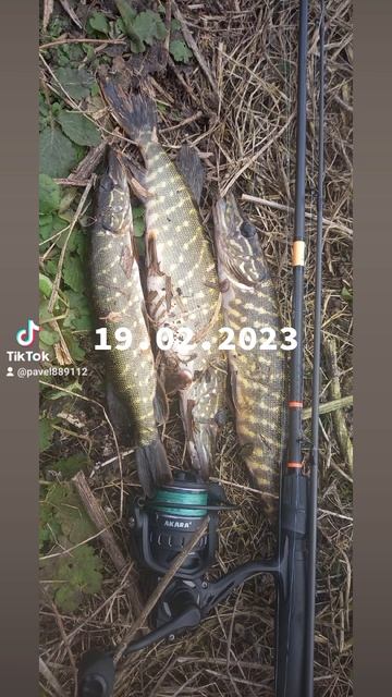 24 февраля 2023 г. смотреть онлайн