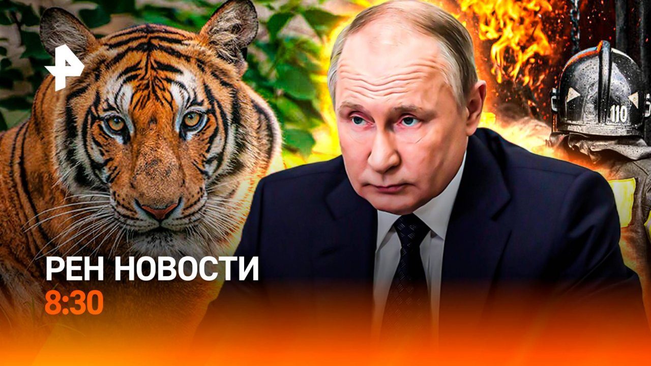 Чудовищные пожары в России / Переговоры Москвы и Киева / Запрет на животных / РЕН Новости 8:30