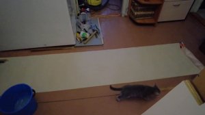 5 серия! Замуровали тайник ))) Поклеили обои, получилось классно