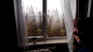 готовлю домашнюю требуху//жизнь в деревне//