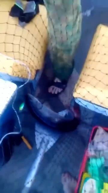 Таймень р Лозьва 🎣 смотреть онлайн