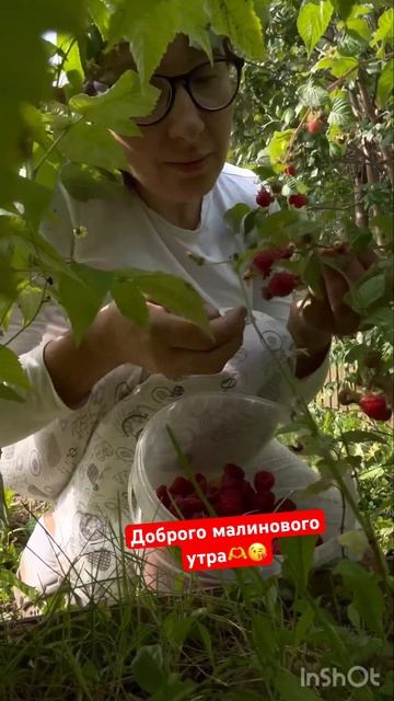 Домик в деревне# малиновое утро# сад#жить нужно в кайф?