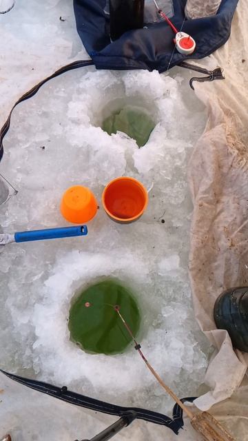 Первый лёд ловлю чебака.#зимняярыбалка #рыбалка#чебак смотреть онлайн