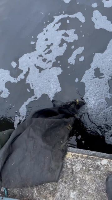 Нашел сокровище!!🤯🤫 для рыбаков на магнитной рыбалк смотреть онлайн