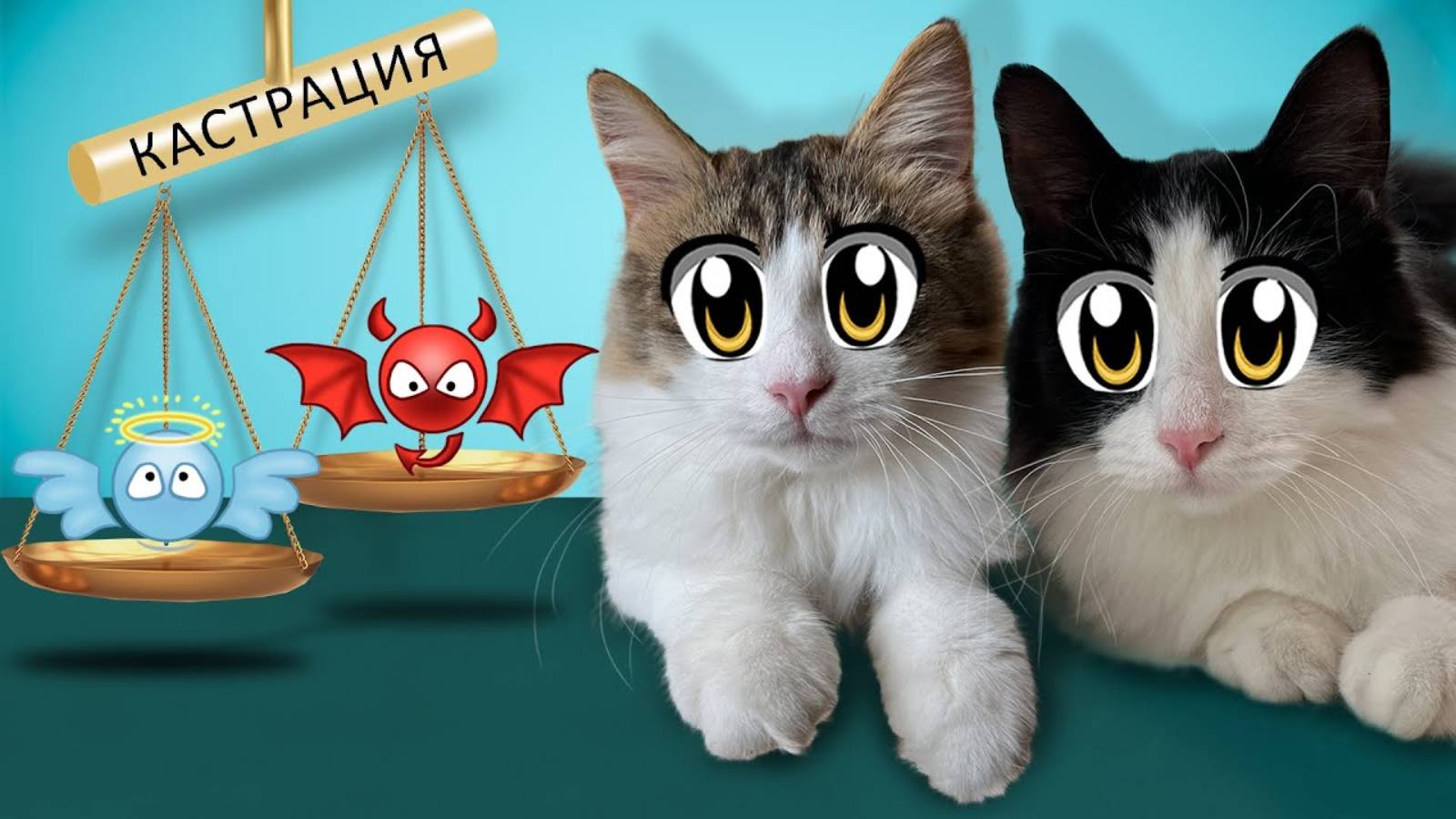 СПАСЁМ БЕЗДОМНЫХ ЖИВОТНЫХ ВМЕСТЕ! ИСТОРИЯ КОТЯТ ЮГИ и ЯНИ! ИСА К ВЕТЕРИНАРУ А НУ КА ДАВАЙ КА