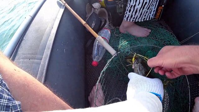 ОХОТА НА ОХОТНИКА.ВЫДЕРНУЛИ ОЧЕРЕДНОГО ХИЩНИКА//МОРСК смотреть онлайн