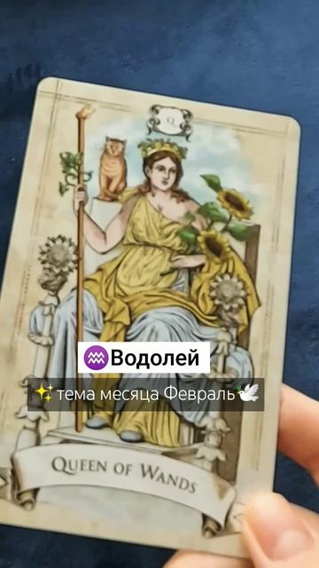 ♒Водолей✨тема месяца Февраль🕊️#водолейтаро #водол?