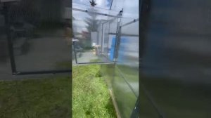 теплица легенда
