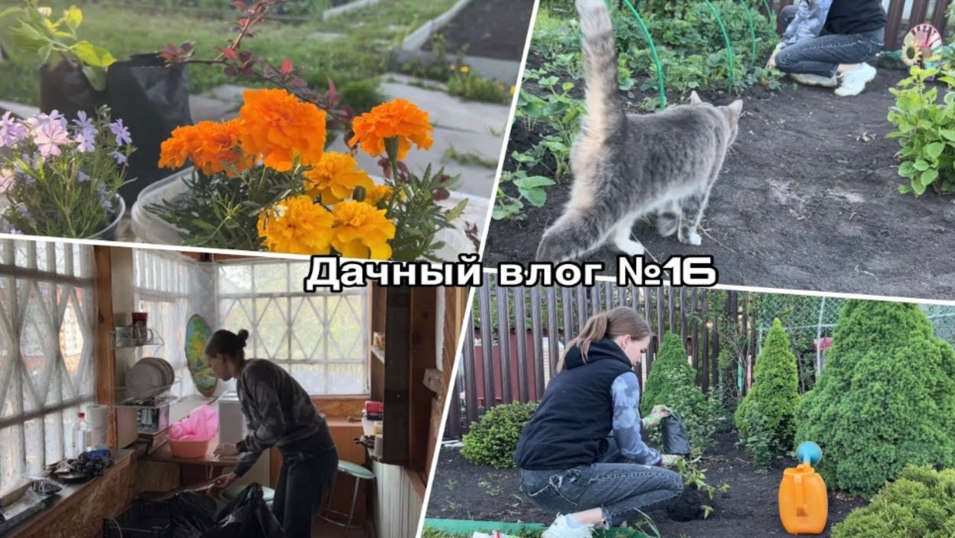 Дачный влог 16  Расхламление дачного дома  Посадка новых растений