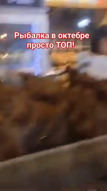 Рыбалка в Астрахани! Сборы на рыбалку! , ужин на мангал? смотреть онлайн