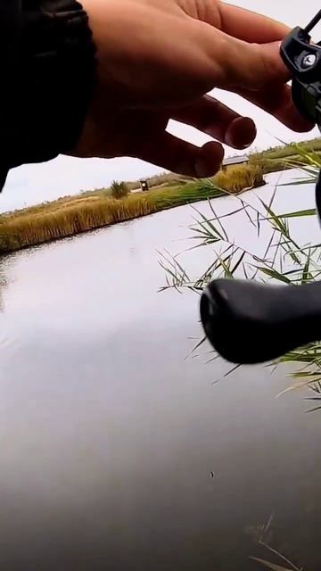 Щука-злюка! Поклевка щуки осенью. Ловля щуки на спинни? смотреть онлайн