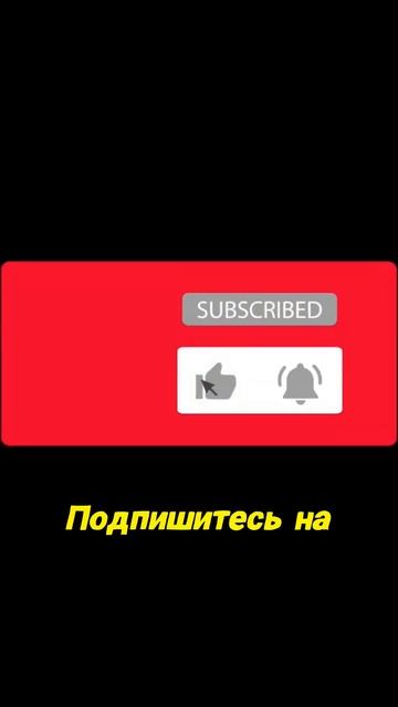 Как финансы могут изменить вашу жизнь? 💰✨