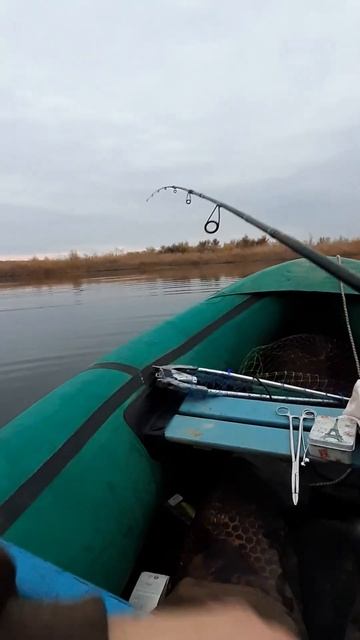 Рыбалка в 400км от Астрахани.Щука в режиме стелс.Поддер? смотреть онлайн