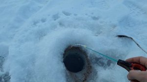 Зимняя рыбалка на мормышку! Камера - Fishing hero 3.0